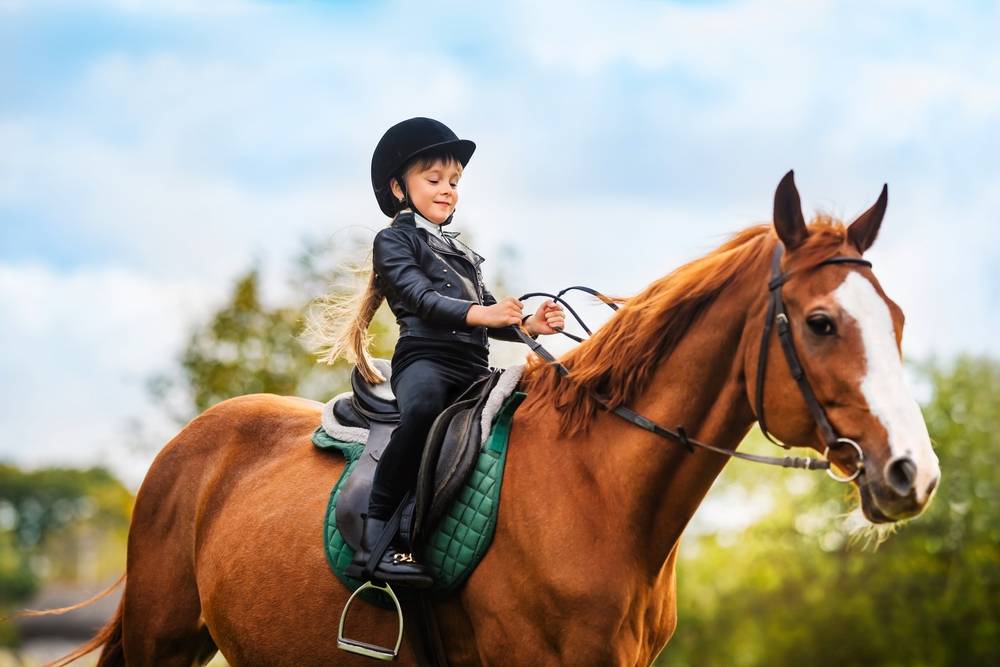 girl in jockey outfit is riding horse
