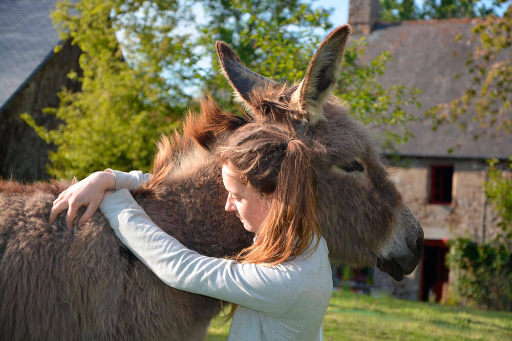 girl is hugging a donkey