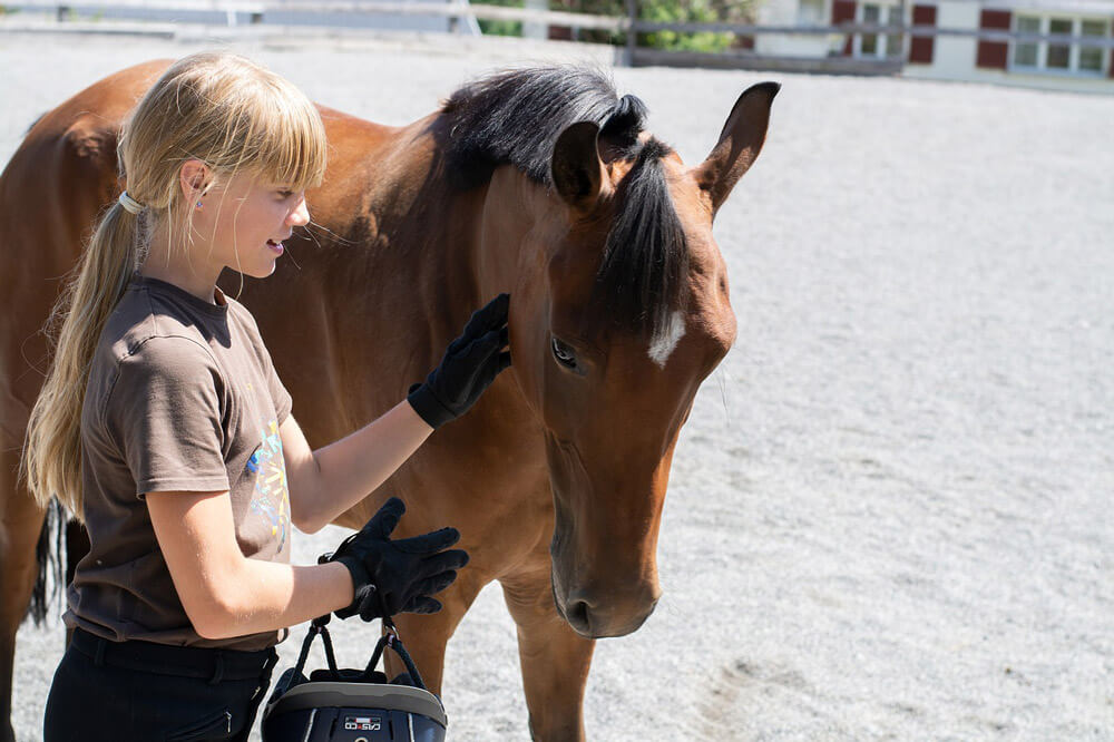 girl is petting horse