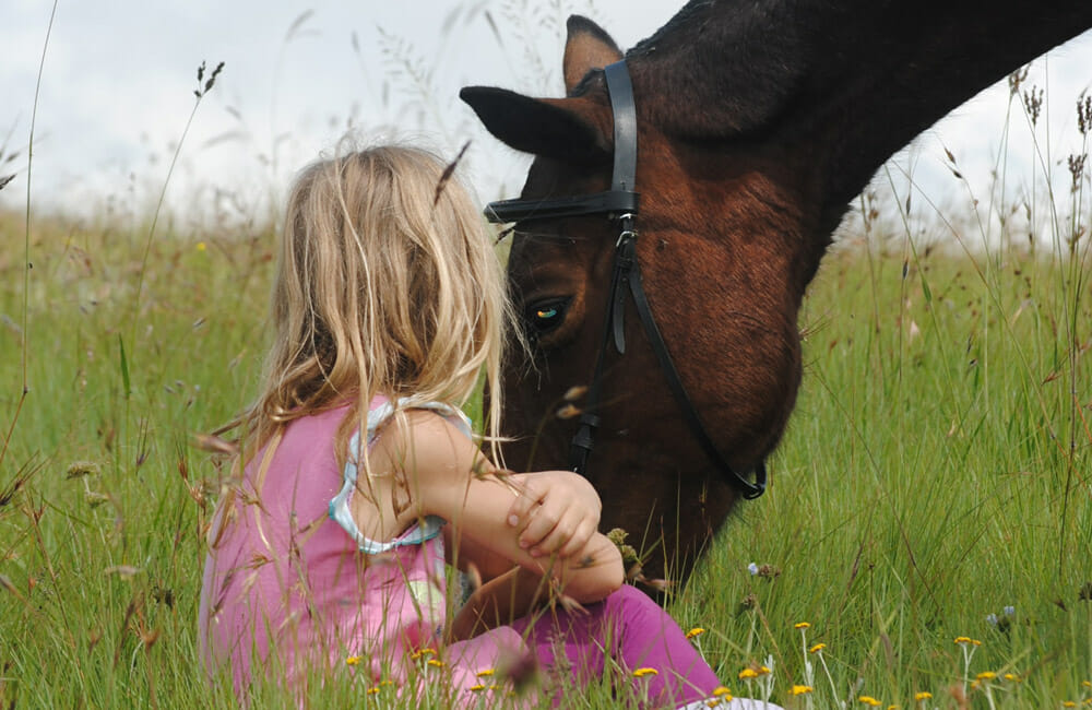 girl is sitting next to the horse