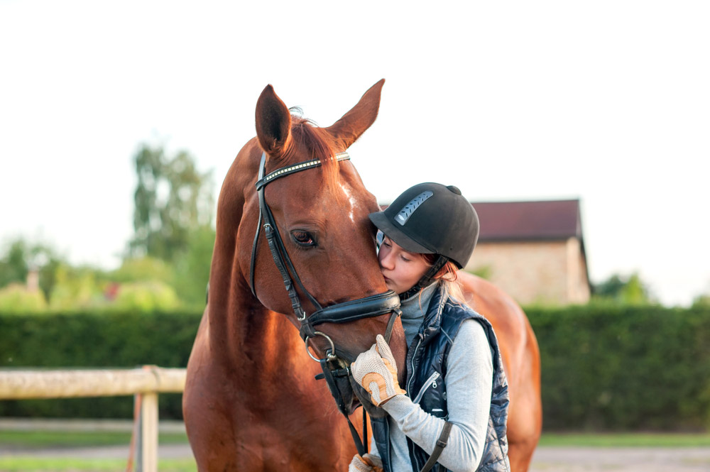 girl kissing her chestnut horse