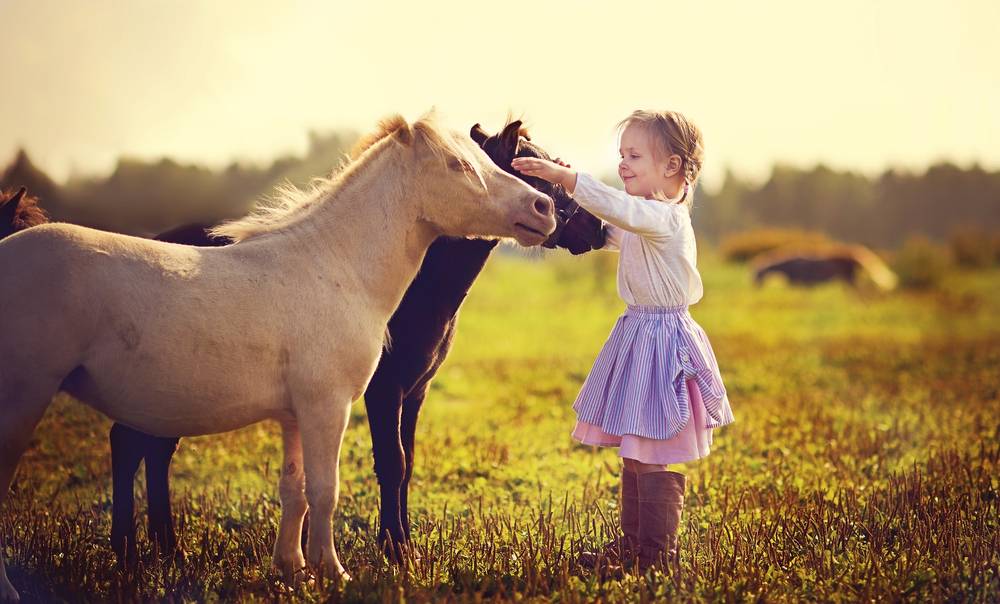 girl petting two ponies