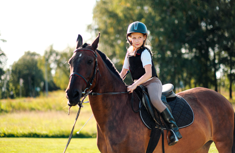 girl posing on bay horse