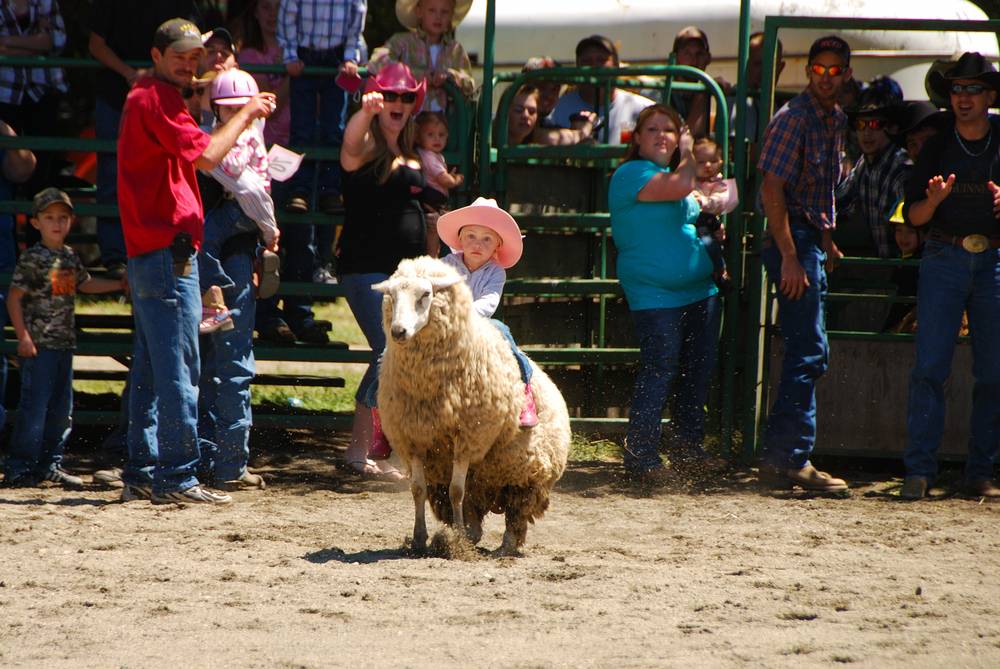 girl wearing cowboy hat partaking in mutton busting