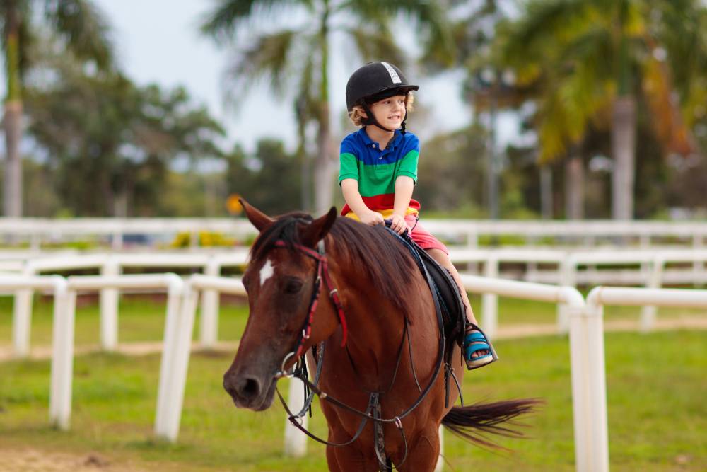 happy boy riding brown horse