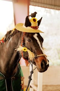 hay hat horse costume