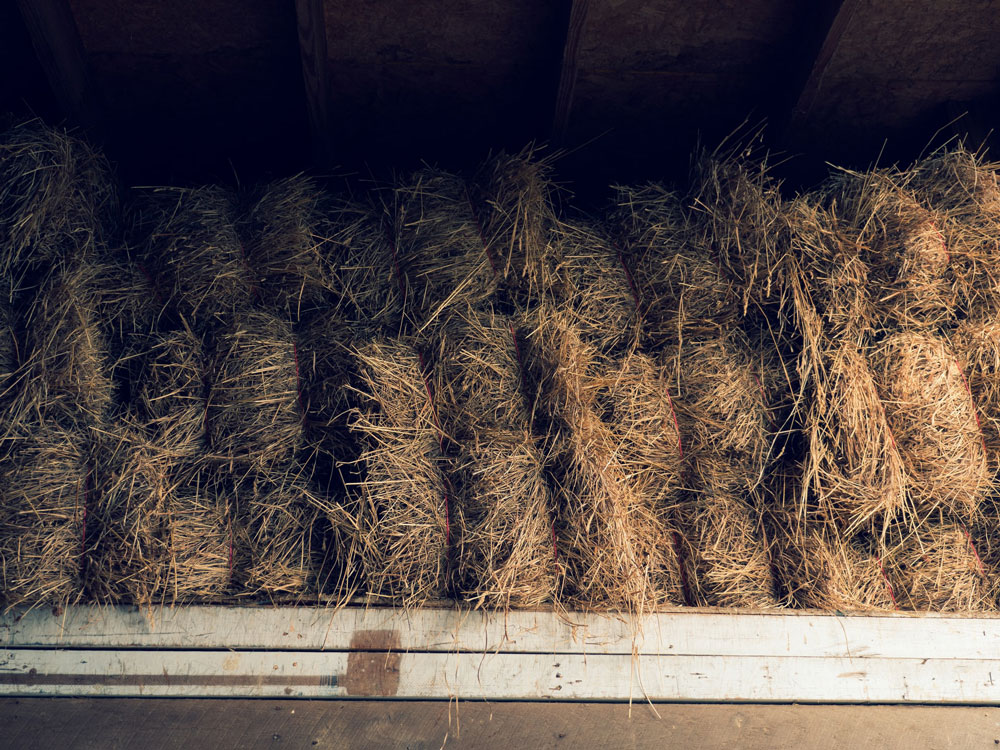 hay is srored in piles