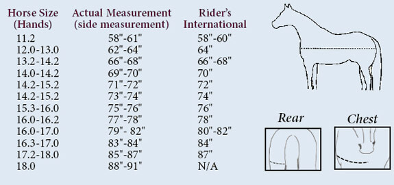 horse blanket size chart