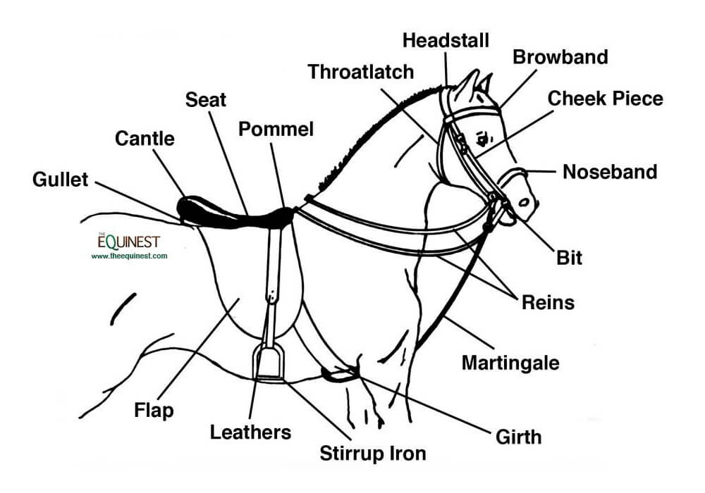 horse bridle main parts