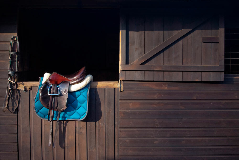 horse bridles saddle and pad are on the stable door