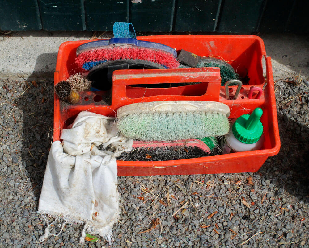 horse grooming kit