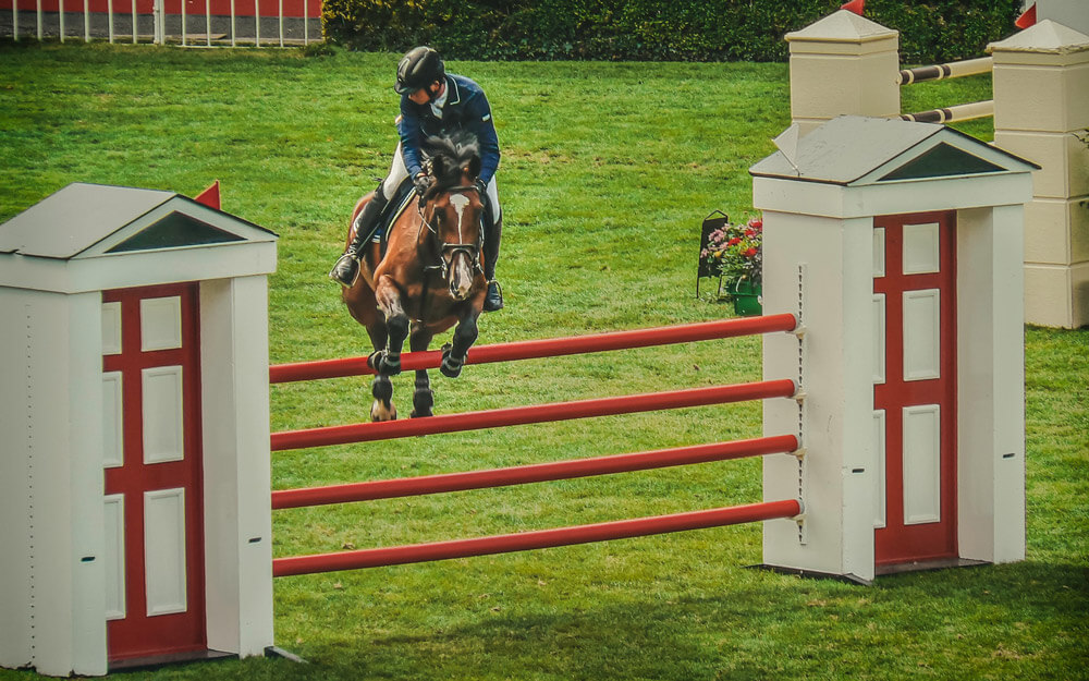 horse is jumping over the red fence