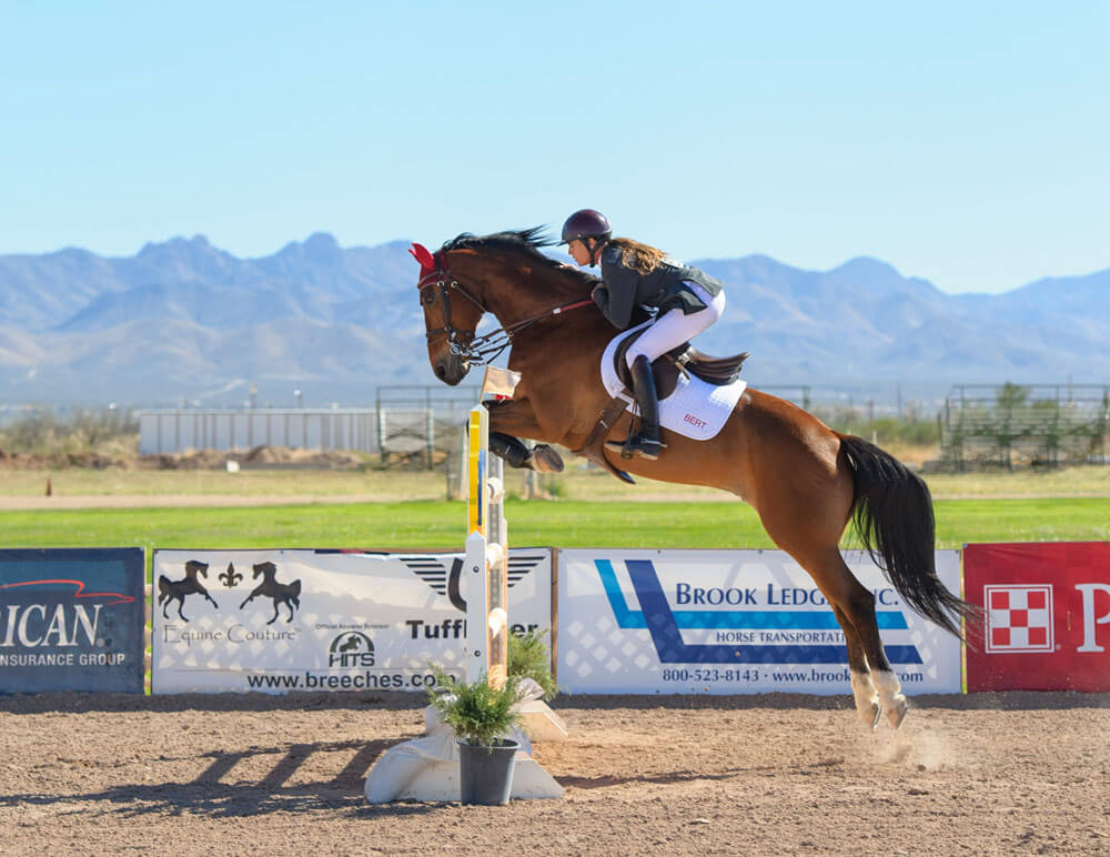 horse is jumping with a woman rider