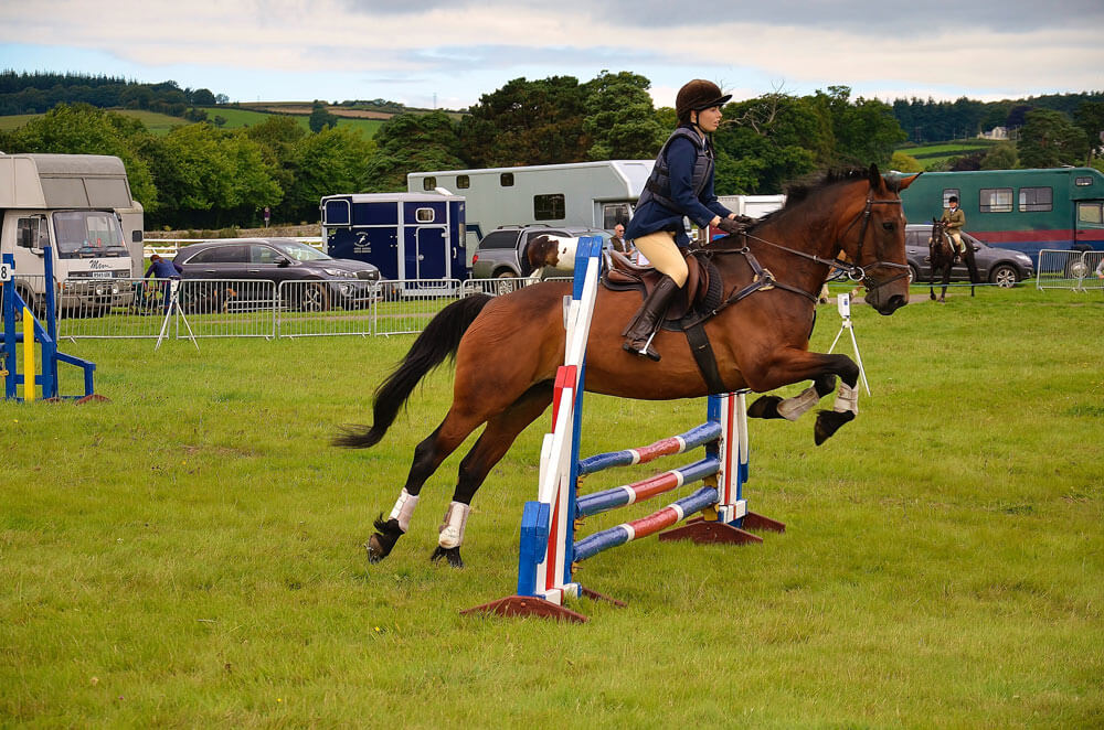 horse jumping showing