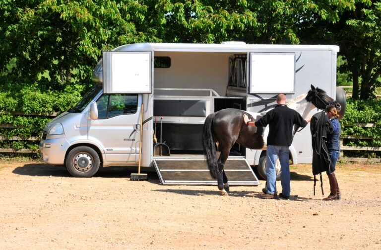 How Much Does a Horse Trailer Cost? • Horsezz