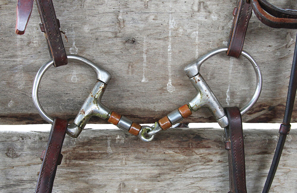 Horse Snaffle Bits Review by horsezz.com