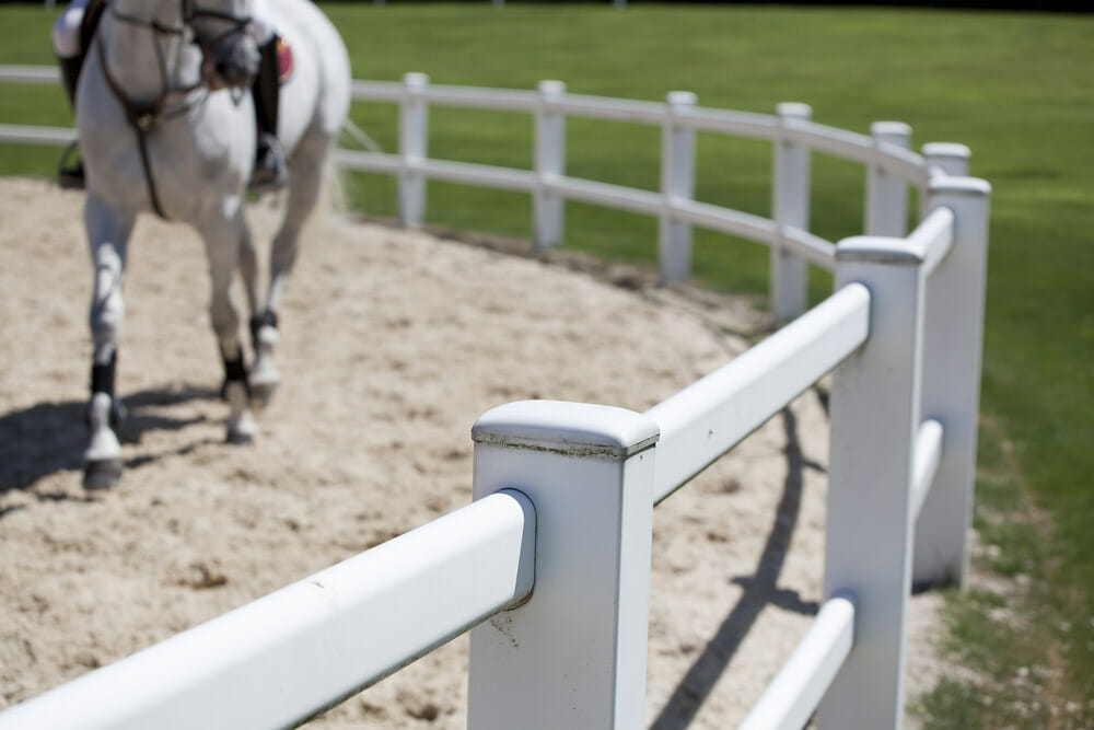 horse training inside white wooden corral