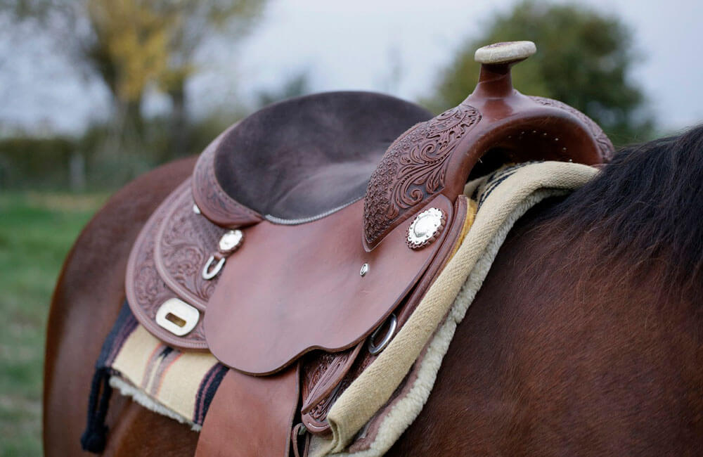 horse western saddle