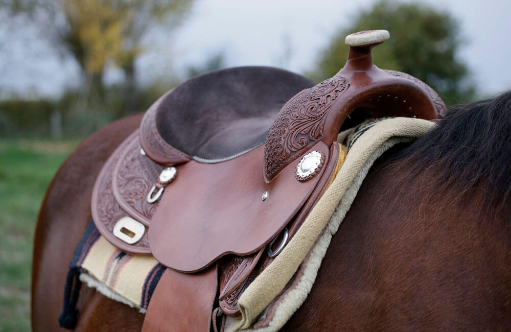 how-to-saddle-a-horse-step-by-step-guide-horsezz