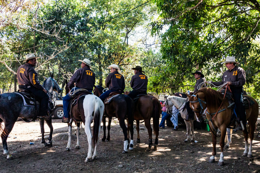 horsemen with ropes are saddling horses