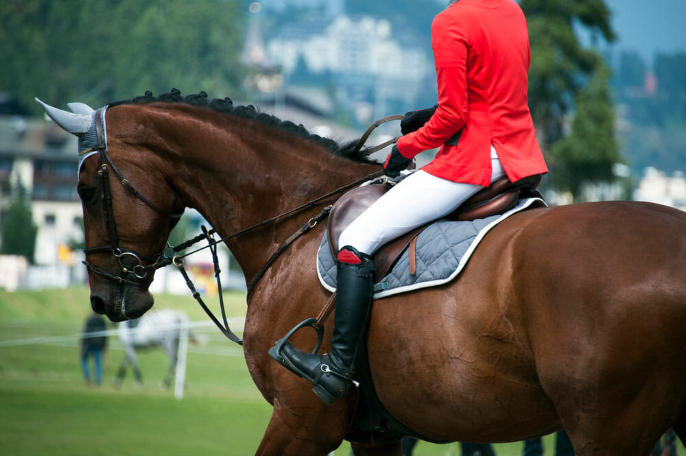 horsewoman in uniform at a jumping show