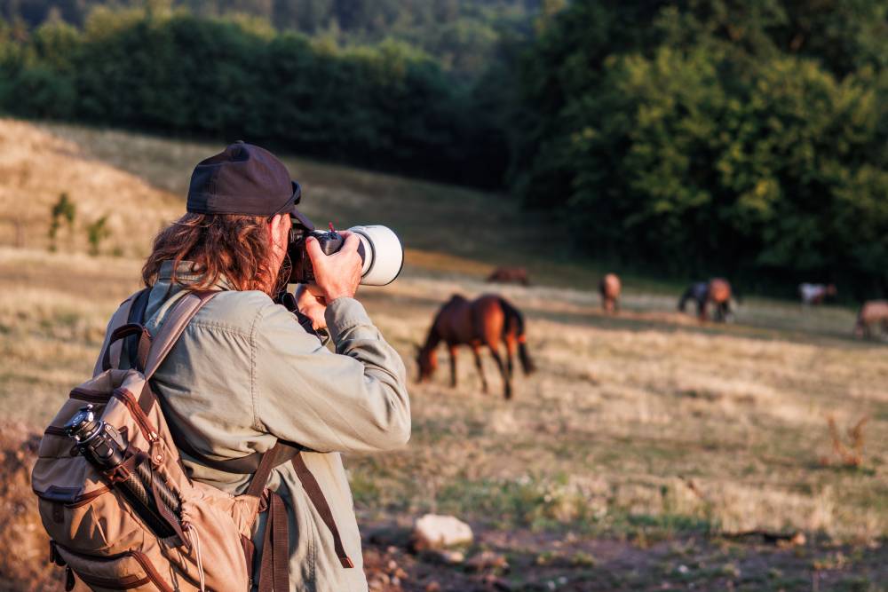 how to make money with horses