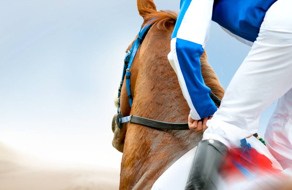 jockey on a racehorse closeup