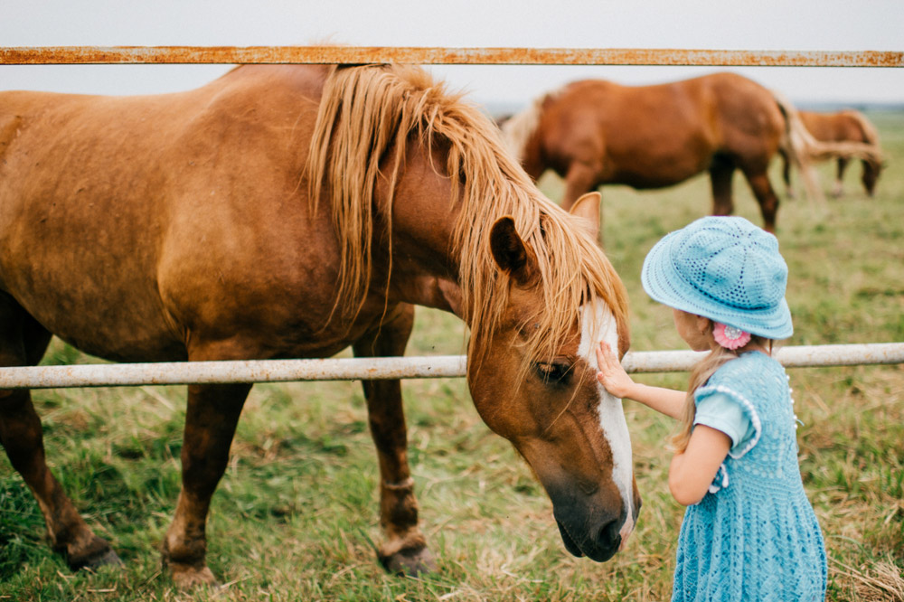 little girl petting horse