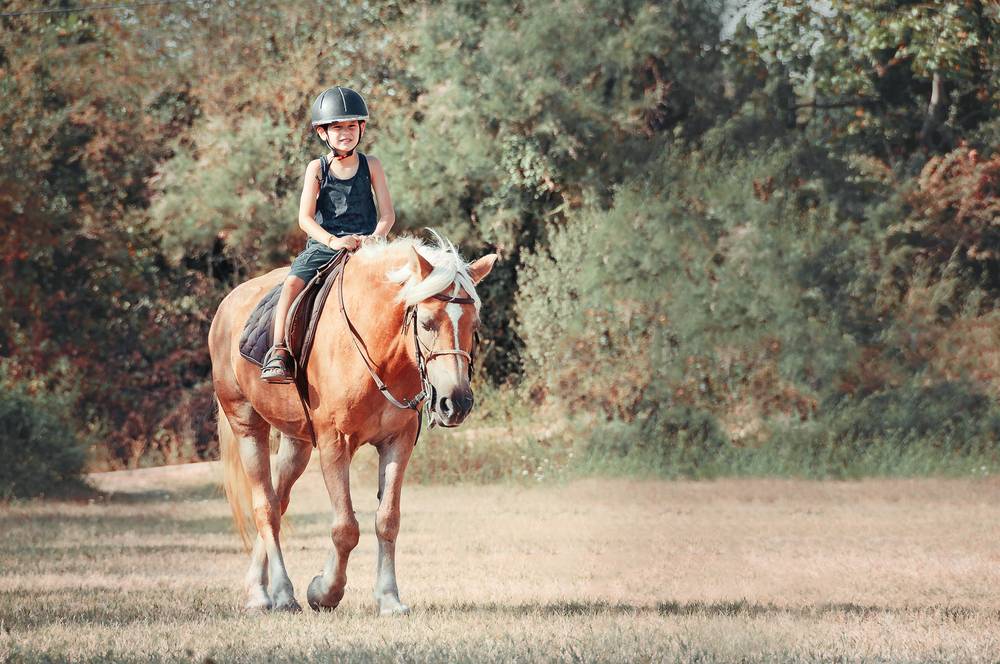 little girl riding a brown horse