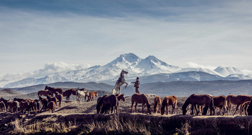 man is among horses in the mountains