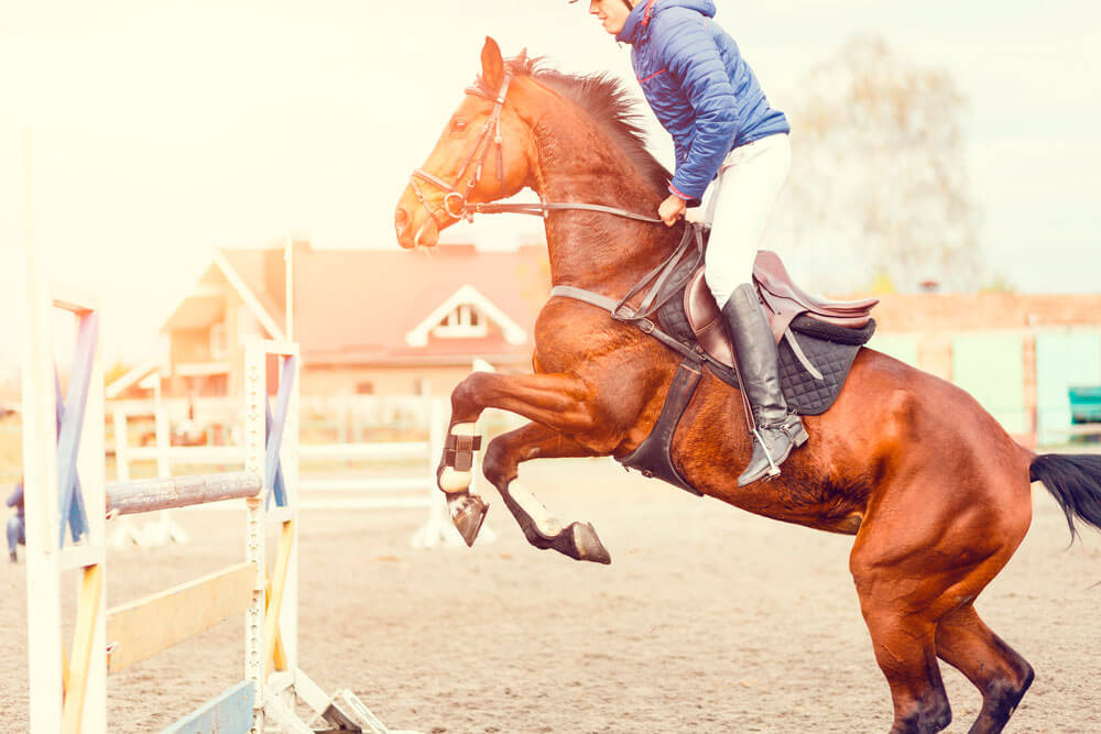 man is jumping on horse