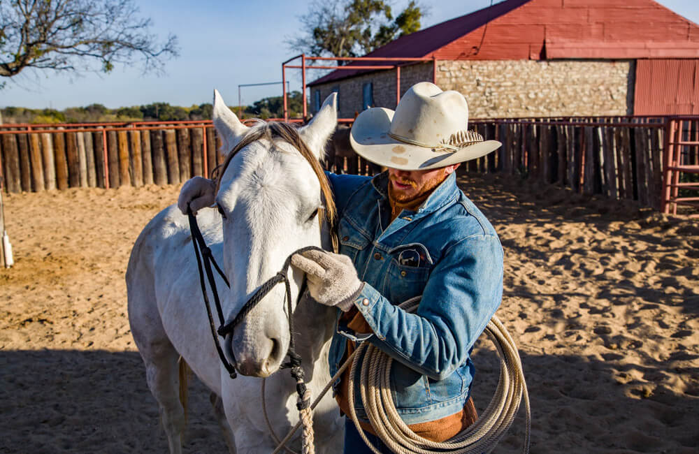 man is putting halter on his horse