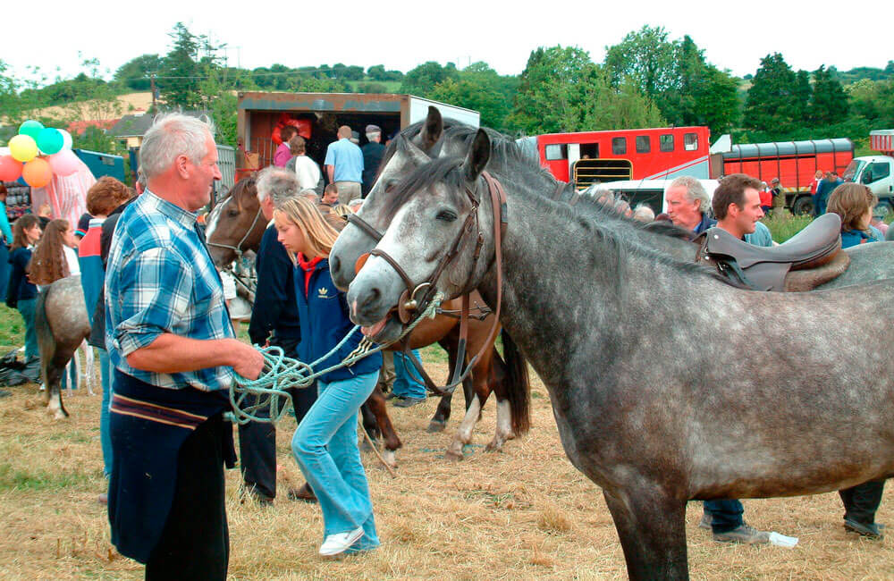 man is selling horses at a horse fair