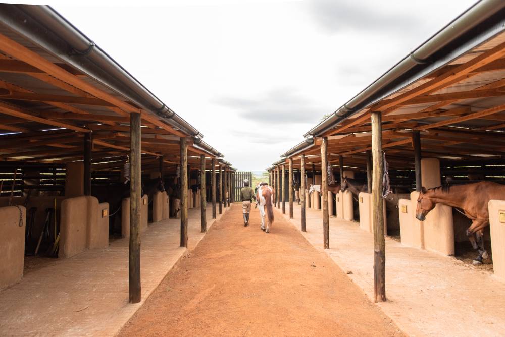 man walking along horse stalls