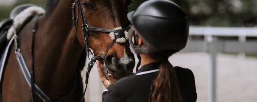 7 Most Popular Horse Riding Helmet Brands