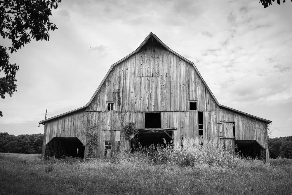 old horse barn black and white