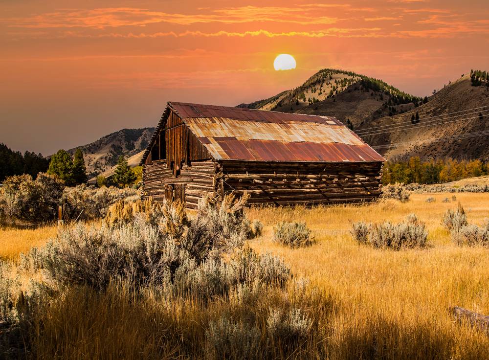 old horse barn sunrise background