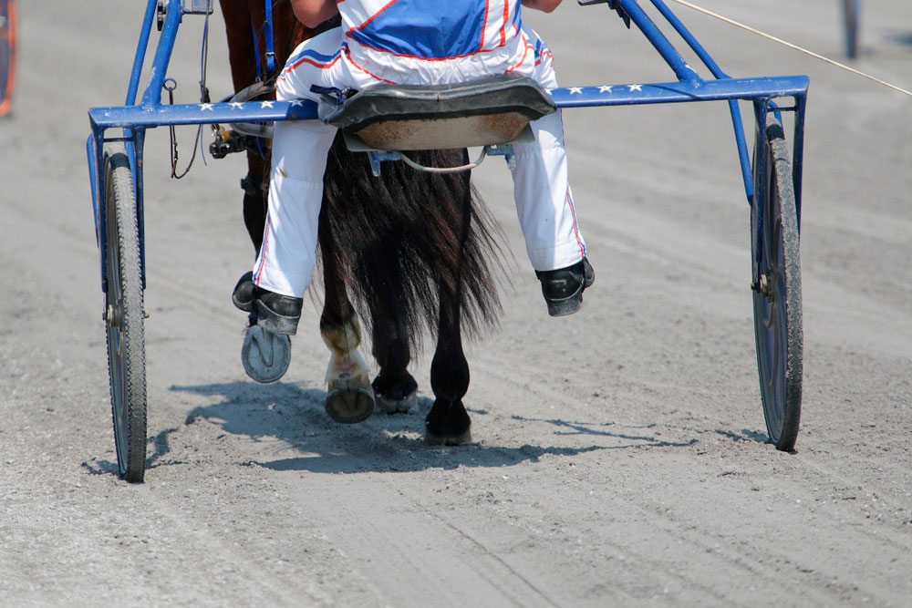 racer sitting behind Standardbred Horse