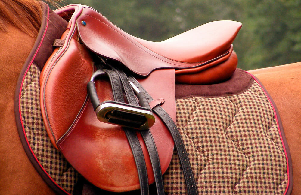 5 Best English Saddle Brands Horsezz