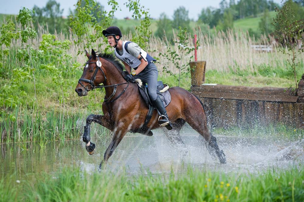 rocky mountain horse in endurance riding