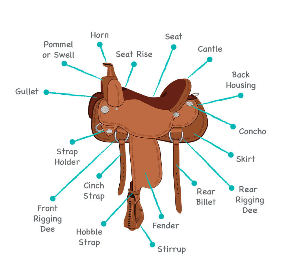 saddle basic structure