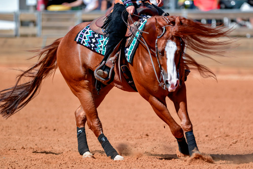 side view of a rider in jeans