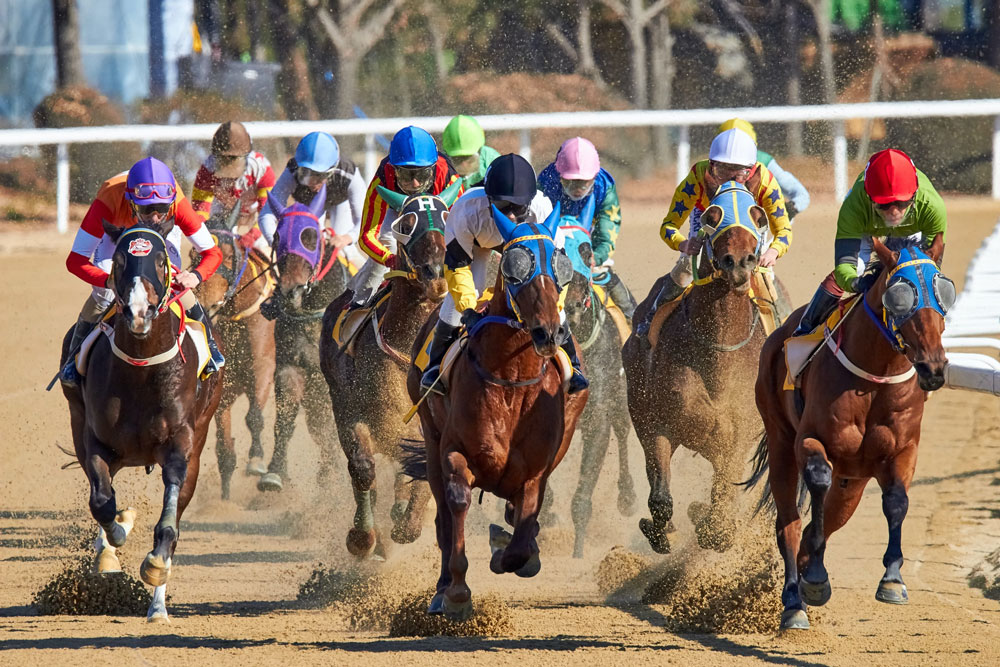 sportsmen are taking part in horserace