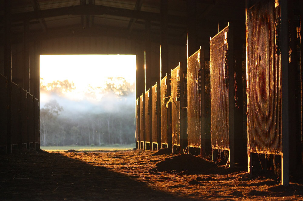 stalls from the sunset view