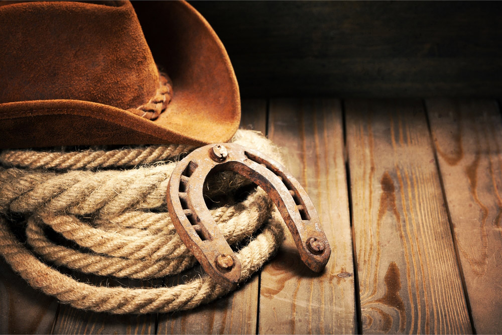 suede cowboy hat and rope