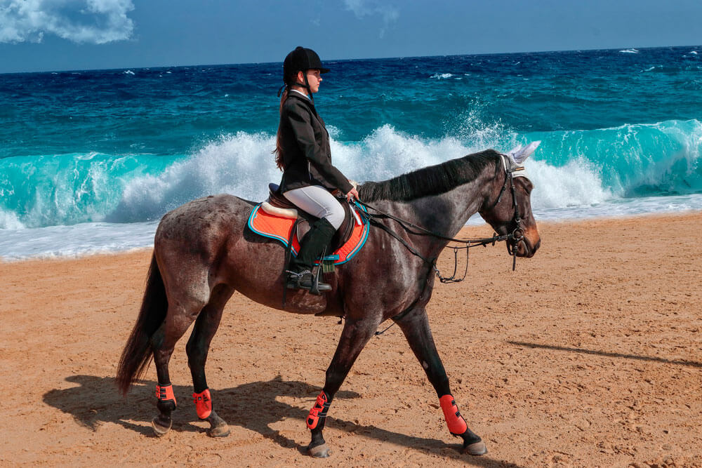 trail riding on the beach