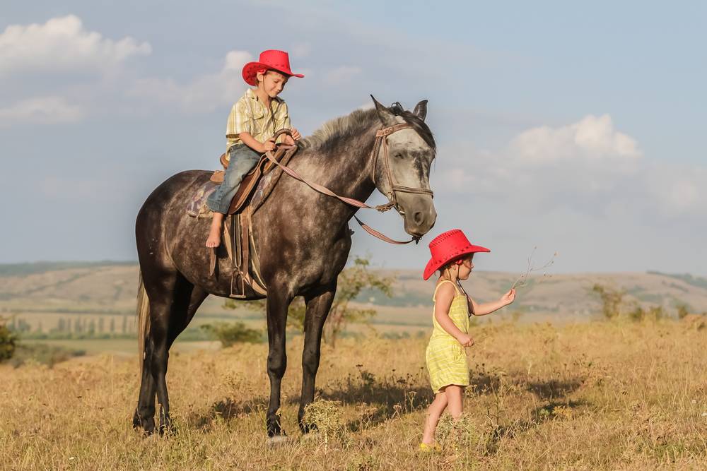 two young kids riding a horse on farm