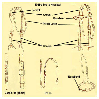A Guide to Basic Horse Tack & Equipment Equestrian Equipment, horse equipment, horse gear, horse tack