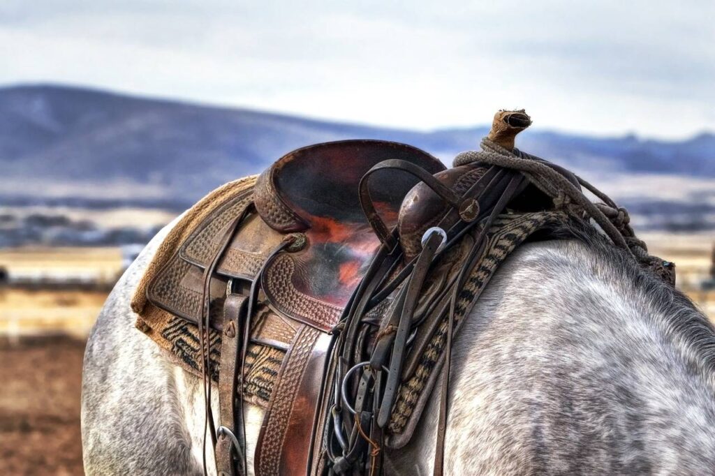 western saddle on grey horse close up
