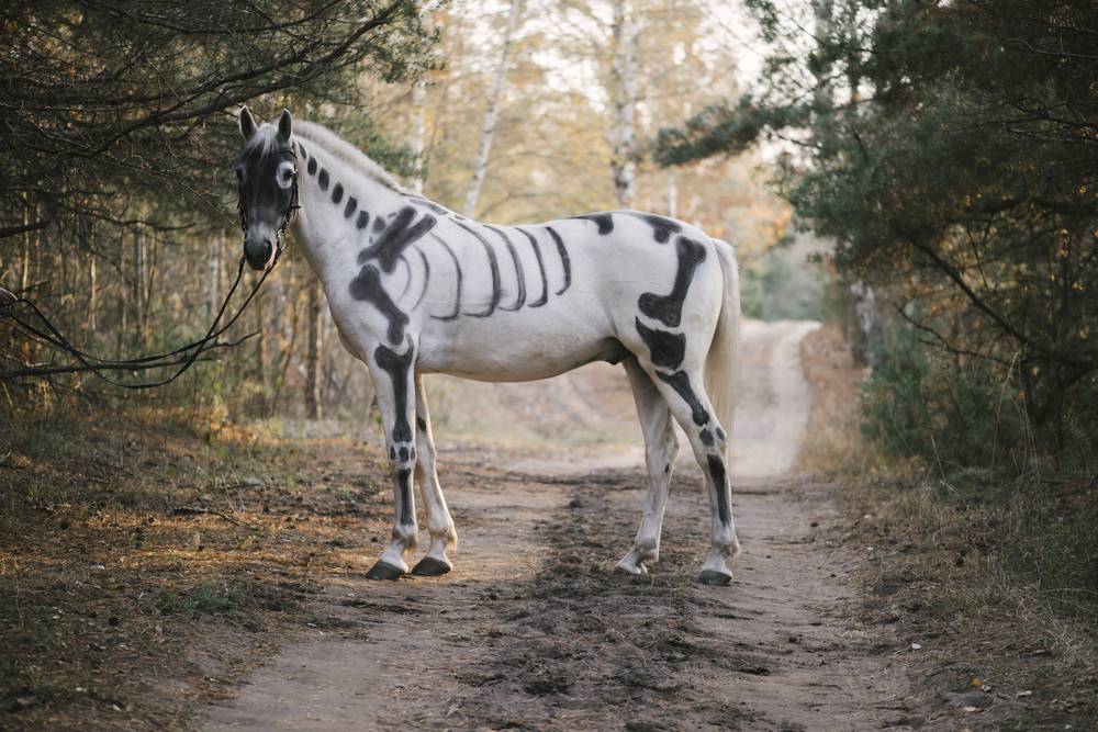 white horse skeleton costume